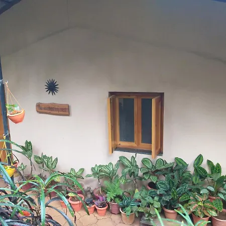 The Enchanting Nest Borim Exterior photo