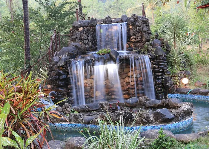 The Enchanting Nest