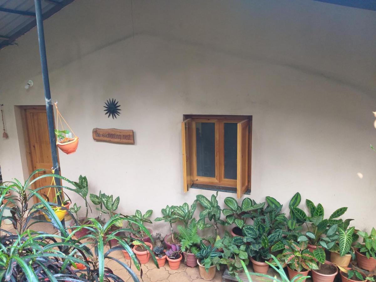 The Enchanting Nest Borim
